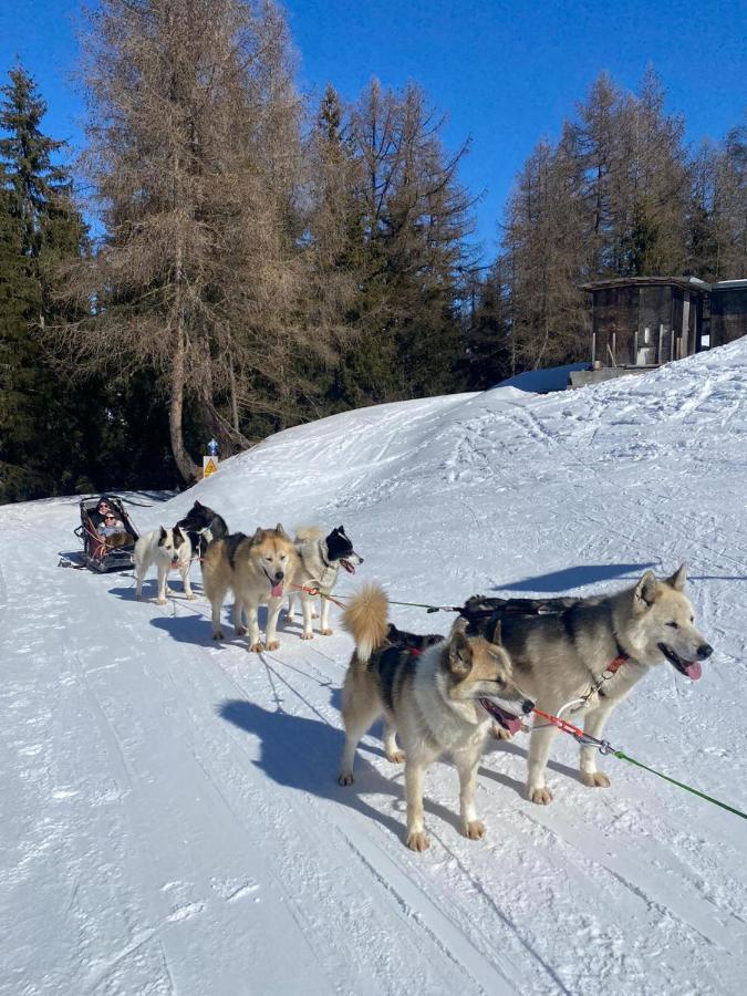 شقة لا بلاني  في Plagne Bellecote - 5 Pers - Vue Pistes - Acces Piscine Chauffee المظهر الخارجي الصورة